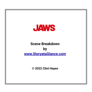 Image of Story at a Glance breakdown cover
